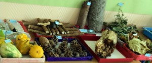 Collection SEILER00