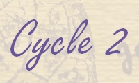 cycle 2